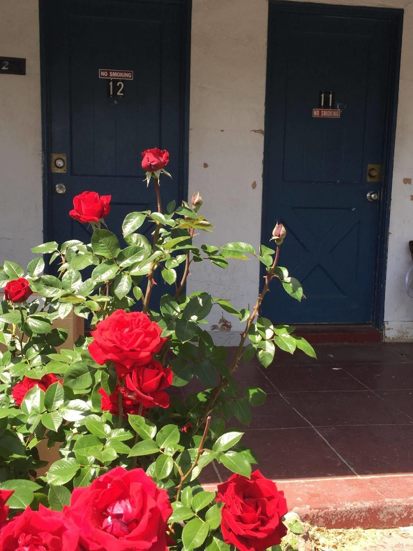 بيشوب Townhouse Motel المظهر الخارجي الصورة