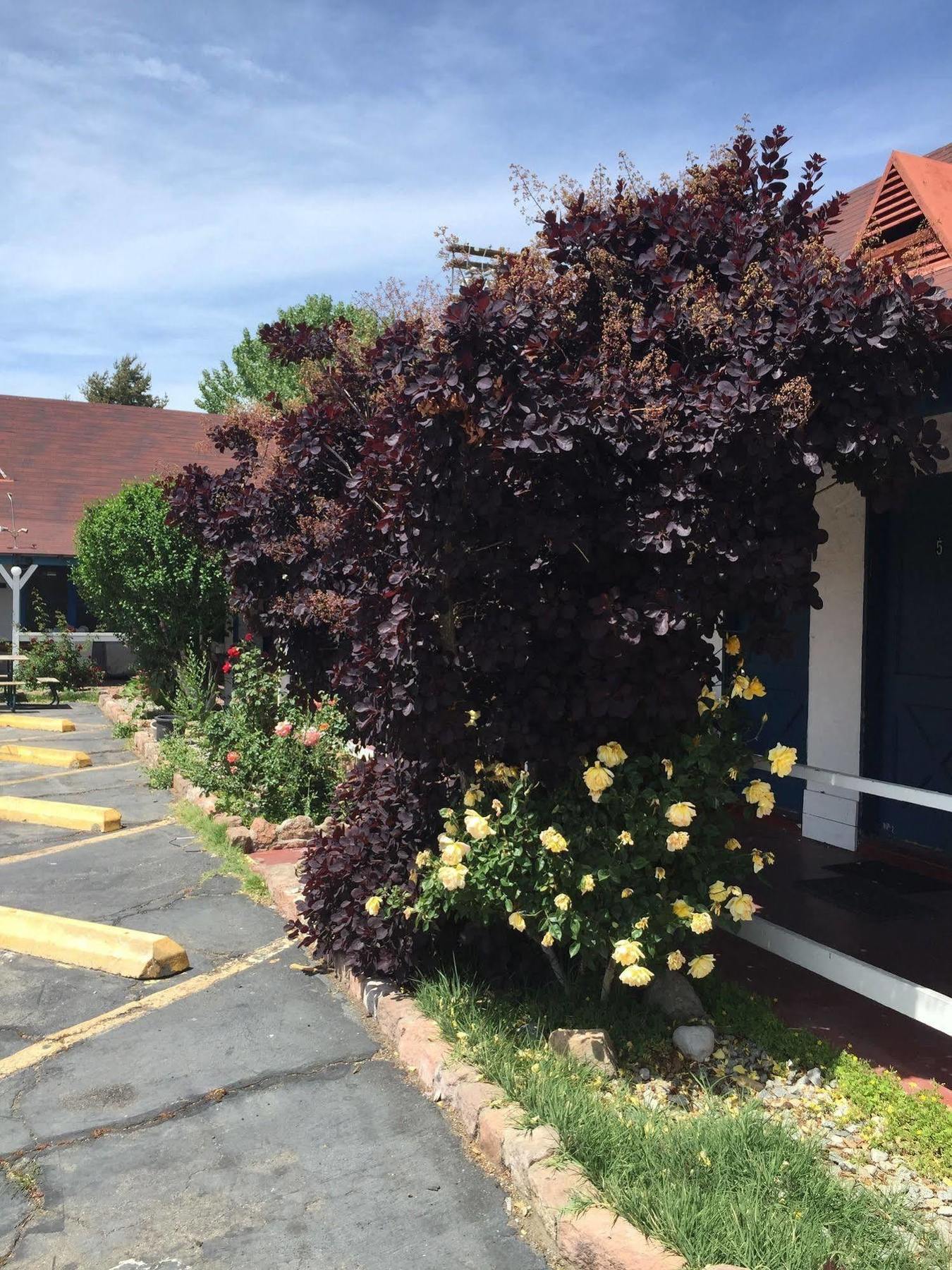 بيشوب Townhouse Motel المظهر الخارجي الصورة